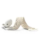 Silver Sheen 2.webp