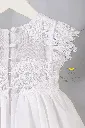 Angelwings_309_3.webp
