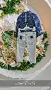 a6-11-scaled.webp