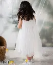 PRM6323A-2.webp