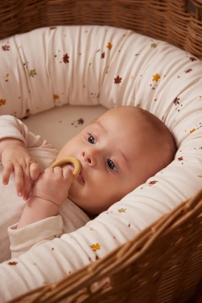 FI-02186_3FI-02187_3.webp