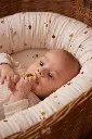 FI-02186_3FI-02187_3.webp