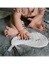 FLAT TOY 2.webp