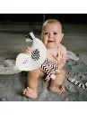 FLAT TOY 1.webp