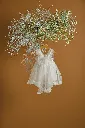 RG1039 2.webp
