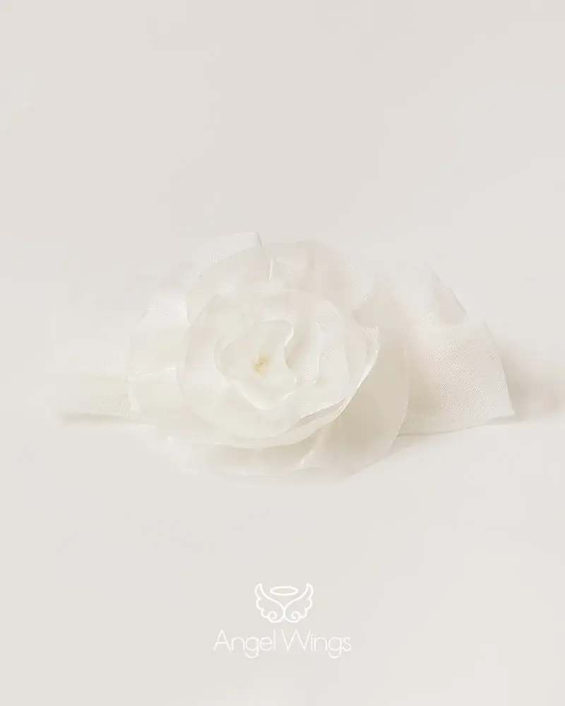 Angelwings_30001_AC.webp