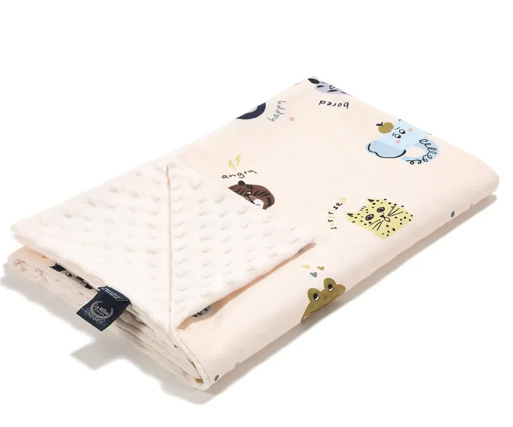 LIGHT BLANKET FRIENDS MINKY (Friends)
